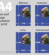 Image result for Letter Page Size