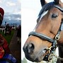 Image result for Horse Racing Quotes About Life After Death