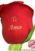 Image result for Te Amo Roses