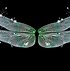 Image result for Glowing Fairy Wings