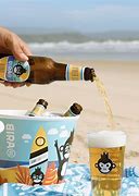 Image result for Beers in Can Mumbai Cricket