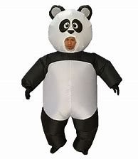 Image result for Giant Panda Costume