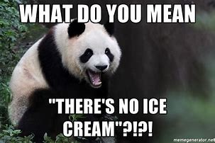 Image result for Panda Bear Meme