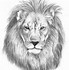 Image result for Lion Portrait Drawing