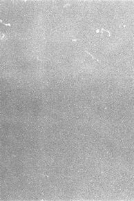 Image result for Film Grain Black Texture