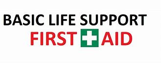 Image result for Basic Life Support Course