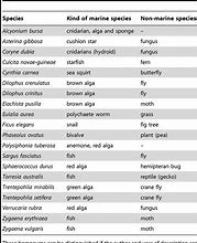 Image result for What Are Some Diffrent Types of Species