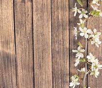 Image result for Cherry Blossom Wood