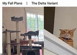 Image result for Delta Variant Animal House Meme