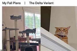 Image result for Delta Variant Animal House Meme