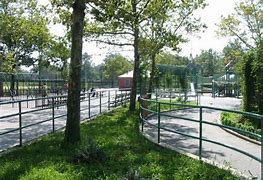 Image result for Pelham Bay Playground