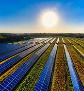 Image result for Solar Energy Farms