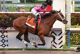 Image result for Derby Horse Race