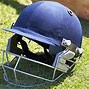 Image result for Ball Box Protective Gear Cricket
