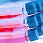 Image result for Cell Culture