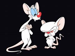 Image result for Pinky and the Brain Wave Hello