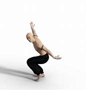 Image result for Dragon Style Kung Fu Stances