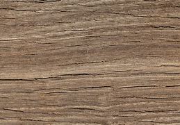 Image result for Sharp Wood