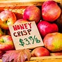 Image result for Apple Picking Farms in Massachusetts