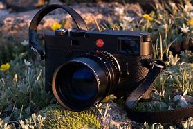 Image result for Leica Sharp