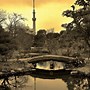 Image result for Tokyo Tree Tower