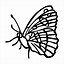Image result for Butterflies Coloring Pages