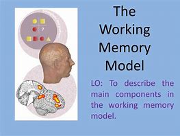 Image result for History of the Working Memory