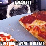 Image result for Pizza Dog Meme