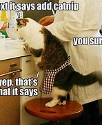 Image result for Cooked Cat Meme