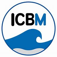 Image result for ICBM Logo