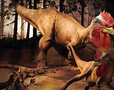 Image result for Funny Dinosaur Wallpaper