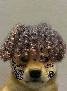 Image result for Dog with Hat Meme Cartoon