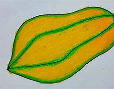 Image result for Papaya Drawing