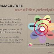 Image result for Permaculture Memes