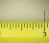 Image result for Three-Inch Ruler