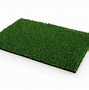 Image result for Cricket Equitment Image On Grass