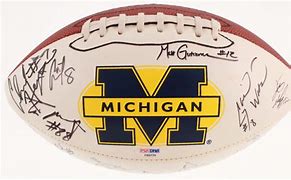 Image result for Michigan Rose Bowl Logo