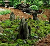 Image result for Growing Moss Garden