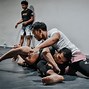 Image result for Mixed Martial Arts Schools