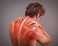 Image result for It Muscle Pain