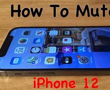 Image result for iPhone 12 Silent Switch