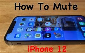 Image result for iPhone 12 Mute Switch
