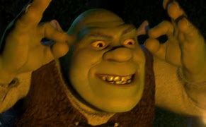 Image result for Shrek Who Let You in My Swamp
