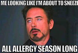 Image result for Seasonal Allergies Meme