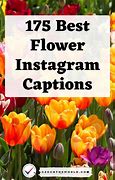 Image result for Theme Captions