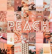 Image result for Vintage Aesthetic Peach Collage