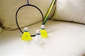 Image result for Badminton Shuttlecocks