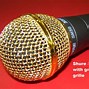 Image result for Seismic Microphone SM58