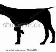 Image result for German Shorthaired Pointer Silhouette