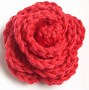 Image result for Beautiful Crochet Flowers